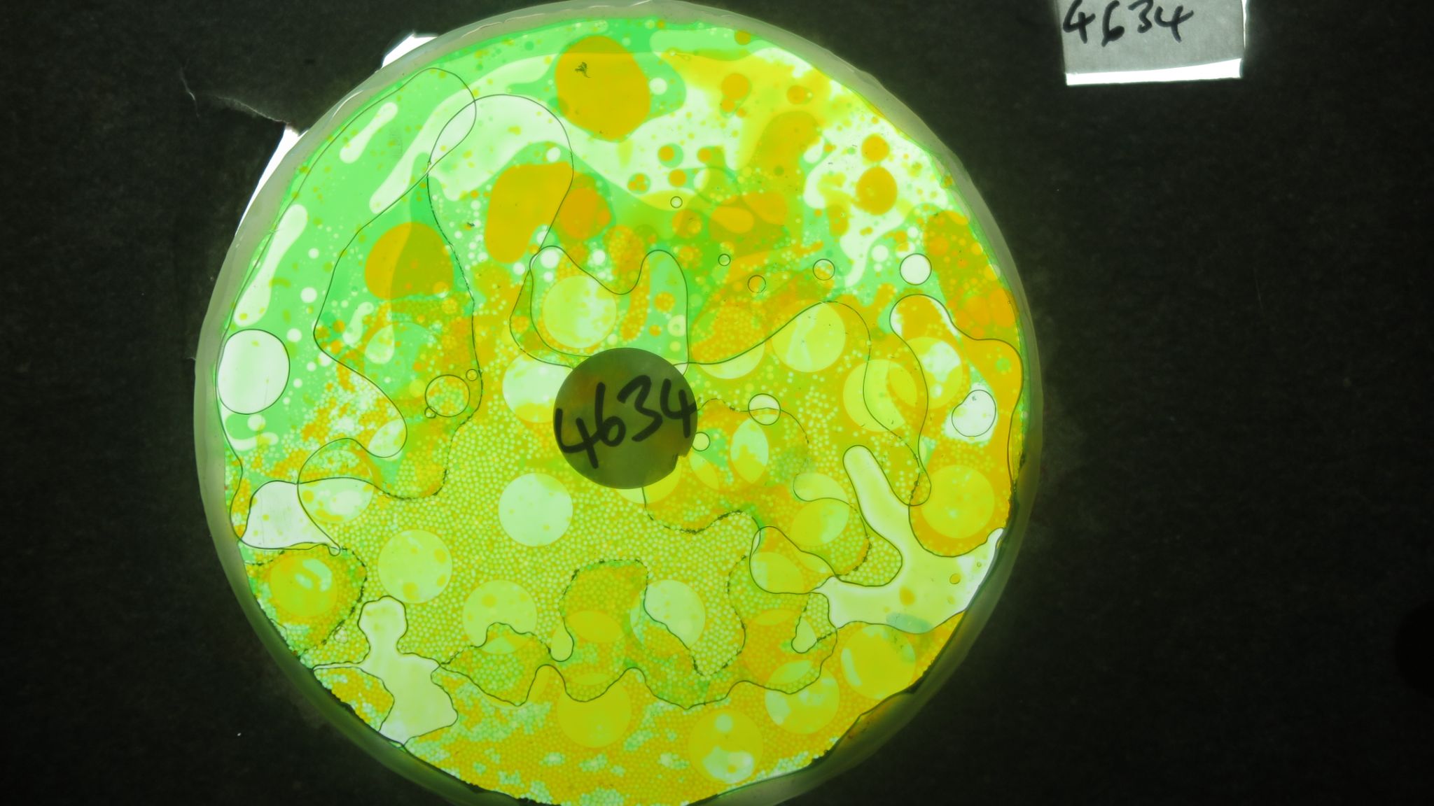 BV4634 bubble vision oil wheel